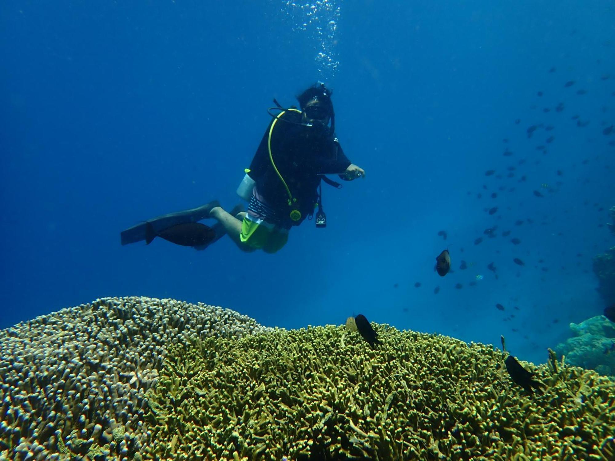 4 Sisters Divers Bunaken Extérieur photo